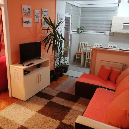 Apartman Dunja Vranje Extérieur photo