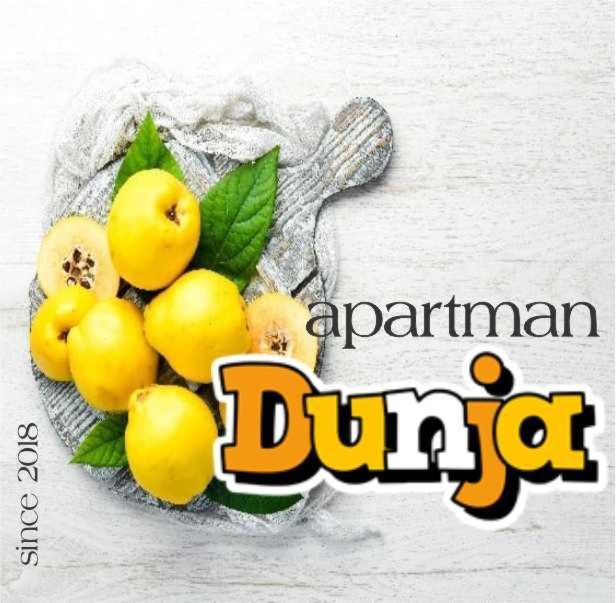 Apartman Dunja Vranje Extérieur photo